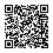 新竹市公道五路旁臺灣欒樹種植未設有樹穴_QRCODE碼